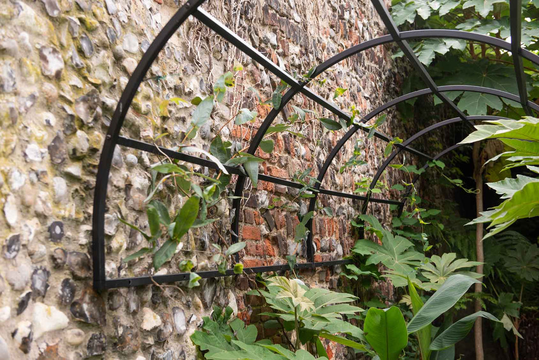 Arco Del Giardino Del Tunnel