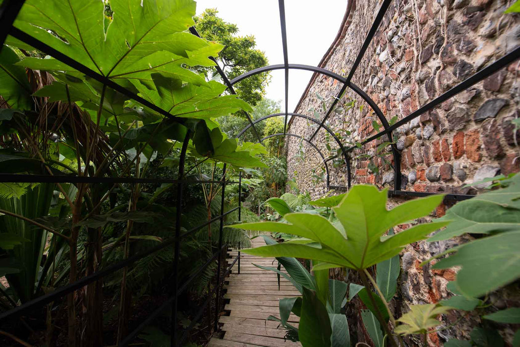 Arco Del Giardino Del Tunnel