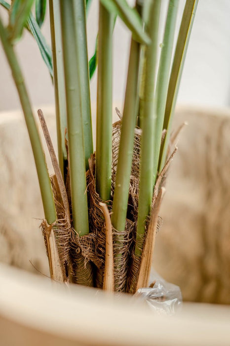 Areca - Palma Artificiale