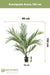 Areca - Palma Artificiale