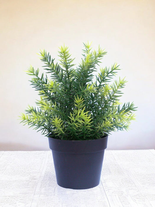 Asparagi - Pianta Verde Artificiale