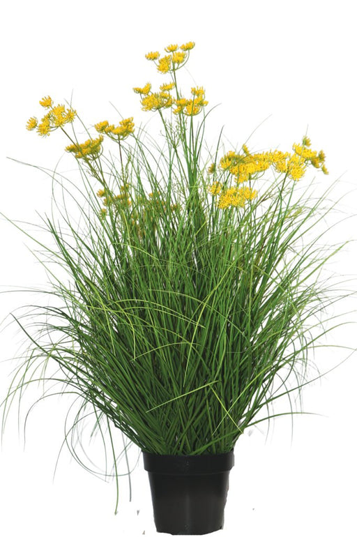 Asteraceae - Erba Artificiale