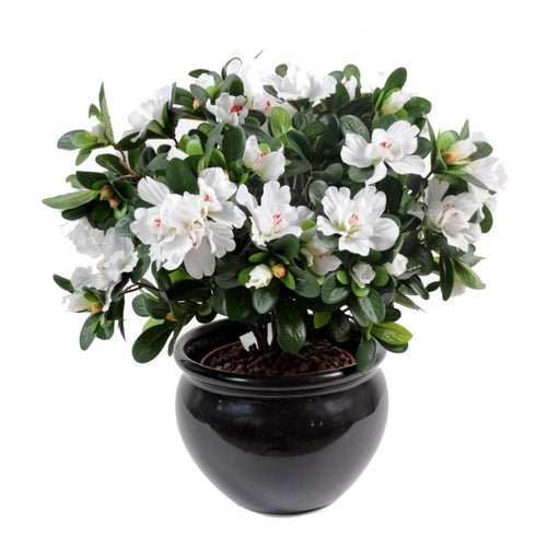 Azalea Bianca Artificiale 35Cm Su Paletto Per Interni