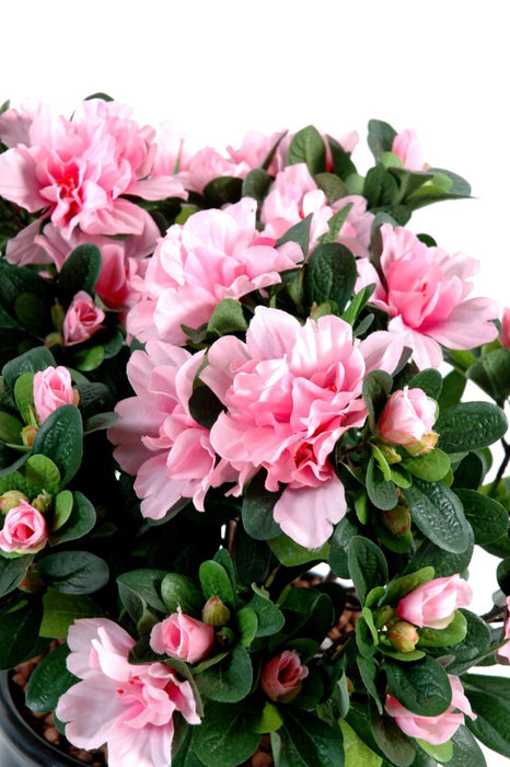Azalea Artificiale Su Paletto Rosa 35Cm Per Interni
