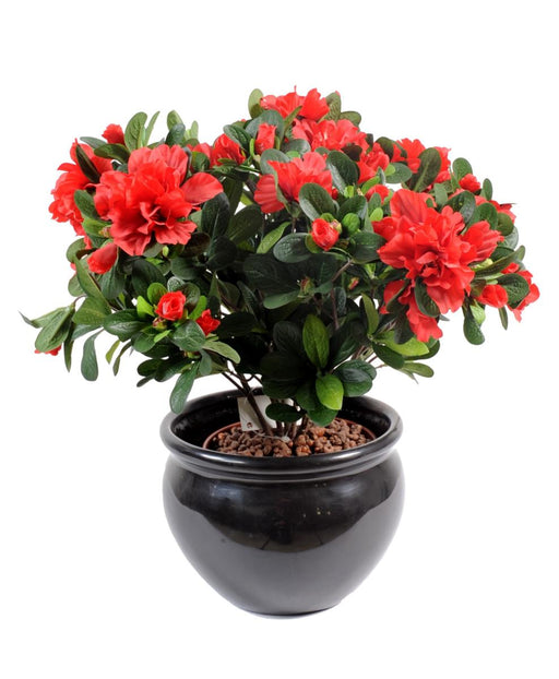 Azalea Rossa Artificiale H.35Cm Su Paletto Per Interni
