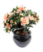 Azalea Salmone Artificiale Su Paletto 35 Cm Per Interni