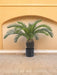 Baby Cycas - Palma Artificiale