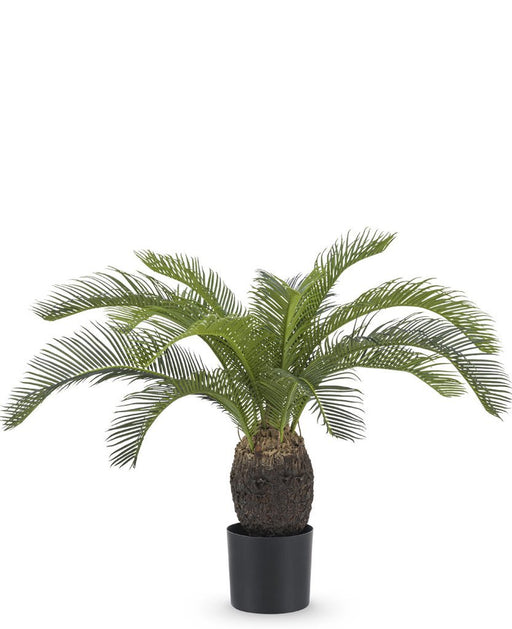 Baby Cycas - Palma Artificiale