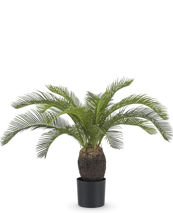 Baby Cycas - Palma Artificiale