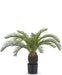Baby Cycas - Palma Artificiale
