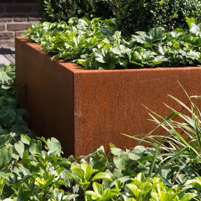 Fioriera Quadrata In Acciaio Corten Arrugginito 100X60 Cm