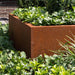 Fioriera Rustica Quadrata In Acciaio Corten 120X40Cm