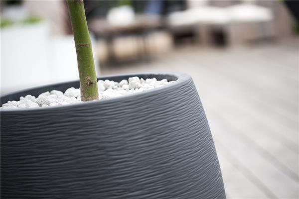 Fioriera In Grafite A Uovo Da 50 Cm Per Interni Ed Esterni