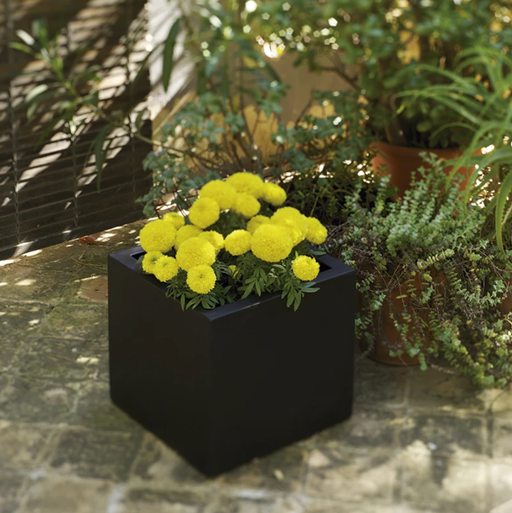 Fioriera Narciso 40 Cm