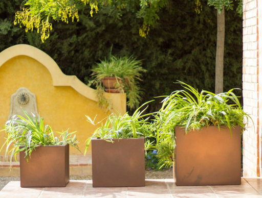 Fioriera Narciso Bronzo 60 Cm