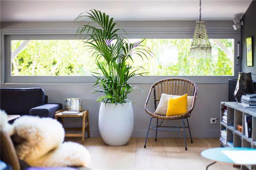 Fioriera Portauova Grafite Ø50 Cm Bianco Smaltato