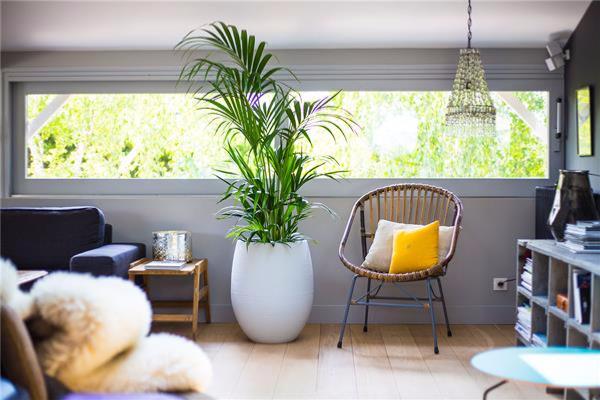 Fioriera Portauova Grafite Ø50 Cm Bianco Smaltato