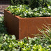 Vassoio Quadrato In Acciaio Corten Per Piante Da Terrazzo Giardino