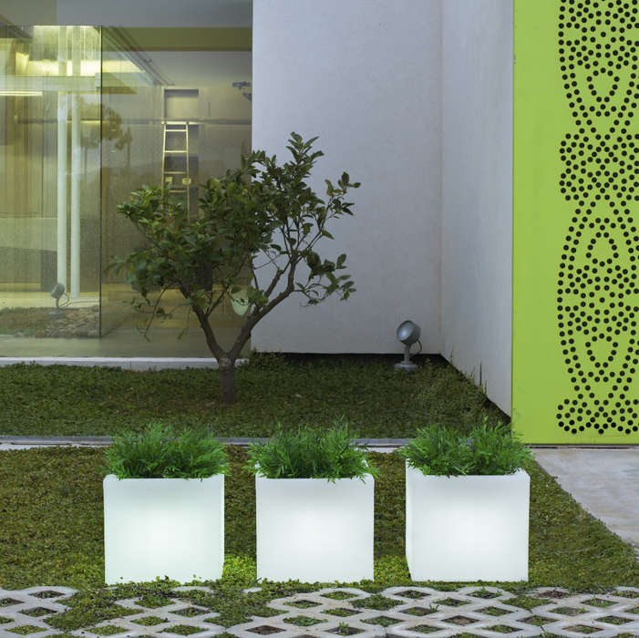 Scatola Luminosa Da Esterno A LED Narciso