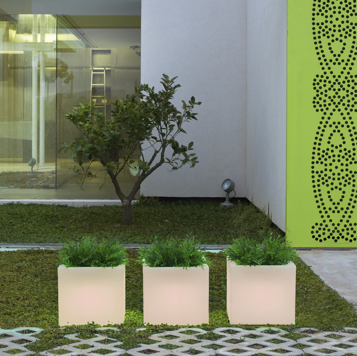 Scatola Luminosa Da Esterno A LED Narciso