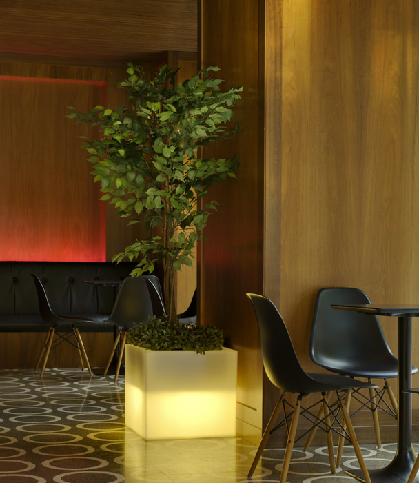 Scatola Luminosa Da Esterno A LED Narciso