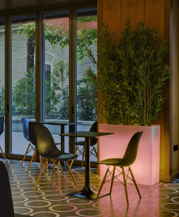 Scatola Luminosa Solare A LED Junco