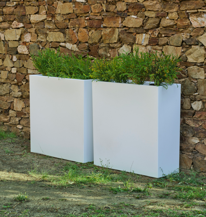 Scatola Luminosa Solare A LED Junco