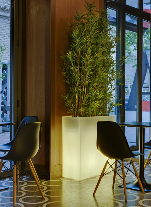 Scatola Luminosa Solare A LED Junco