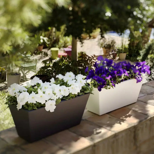 Fioriera Da Balcone Jazmin (X3)