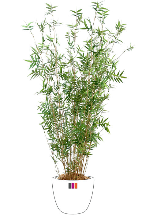 Bambù Artificiale 100 Cm Per Interni