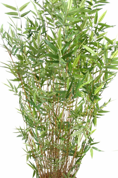 Bambù Artificiale 160 Cm Pianta Da Interno Fogliame Verde
