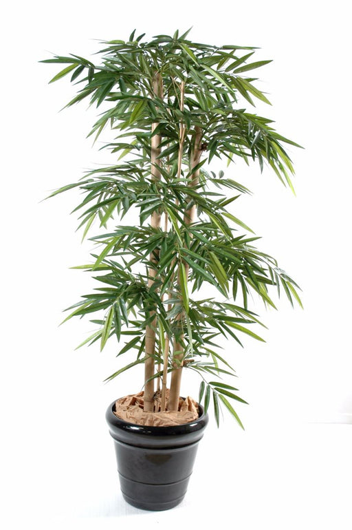 Bambù Artificiale 175 Cm Con 4 Grandi Canne Verdi