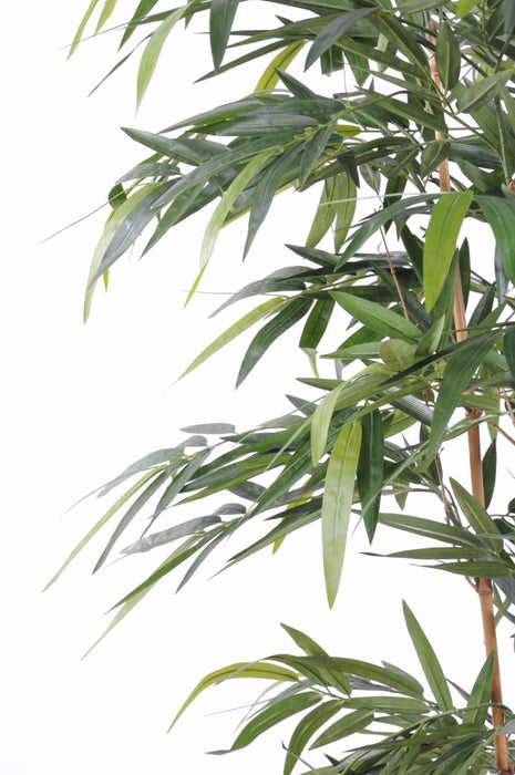 Bambù Artificiale 180 Cm Con 6 Canne Naturali