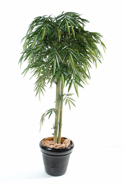 Bambù Artificiale 180Cm Con Canna Naturale