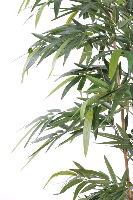 Bambù Artificiale 210 Cm Con 6 Canne Naturali
