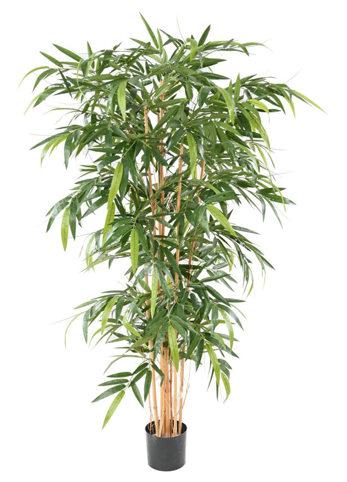 Bambù Artificiale 210 Cm Resistente Ai Raggi UV Per Balcone Terrazza
