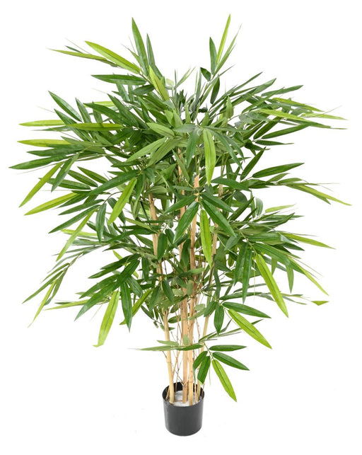 Bambù Artificiale 6 Canne Naturali 120Cm Per Interni