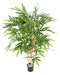 Bambù Artificiale 6 Canne Naturali 120Cm Per Interni