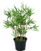 Pianta Da Interno In Bambù Artificiale 60 Cm Verde