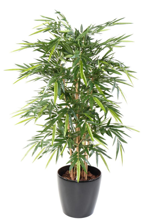 Bambù Artificiale 7 Canne Naturali Indoor 160Cm