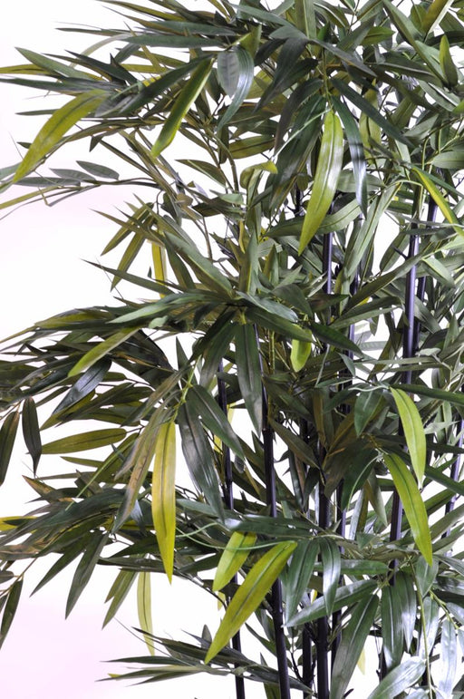 Bambù Artificiale Decorativo Per Interni H.175Cm Nero