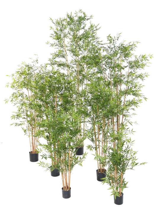 Bambù Artificiale H.320Cm Resistente AI RAGGI UV Per Interni Esterni