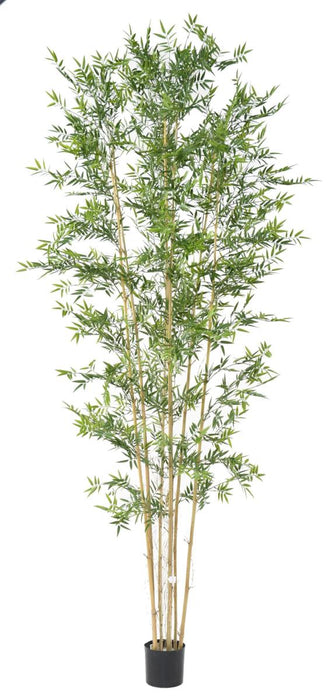 Bambù Artificiale H.320Cm Resistente AI RAGGI UV Per Interni Esterni