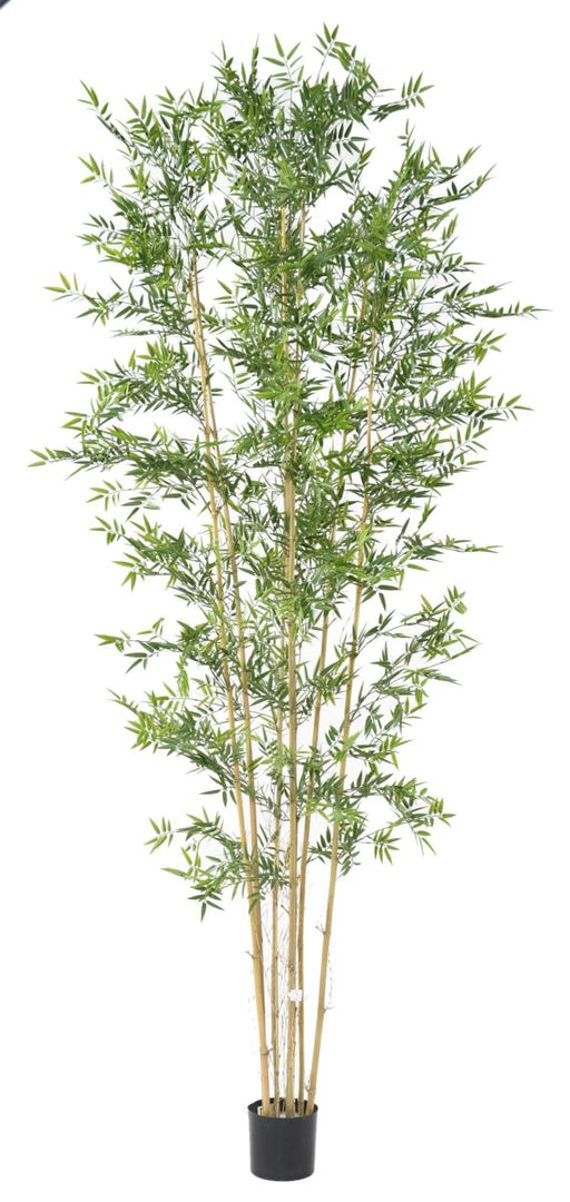 Bambù Artificiale H.320Cm Resistente AI RAGGI UV Per Interni Esterni