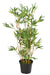 Pianta Da Interno Verde Artificiale In Bambù H.90 Cm