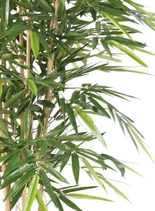 Vaso Nero Per Interni In Bambù Artificiale Da 180 Cm