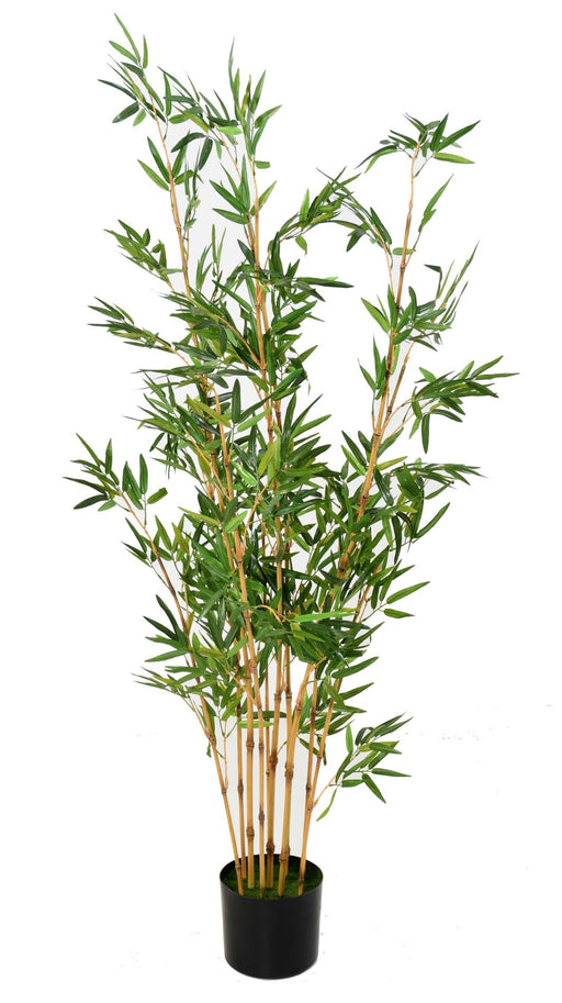 Bambù Artificiale Da Interno H.150Cm Verde