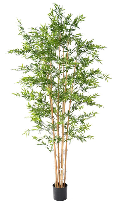 Resistente Bambù Artificiale Giapponese Per Esterni 240 Cm