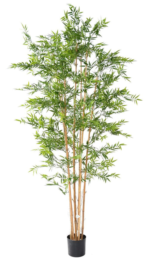 Resistente Bambù Artificiale Giapponese Per Esterni 240 Cm