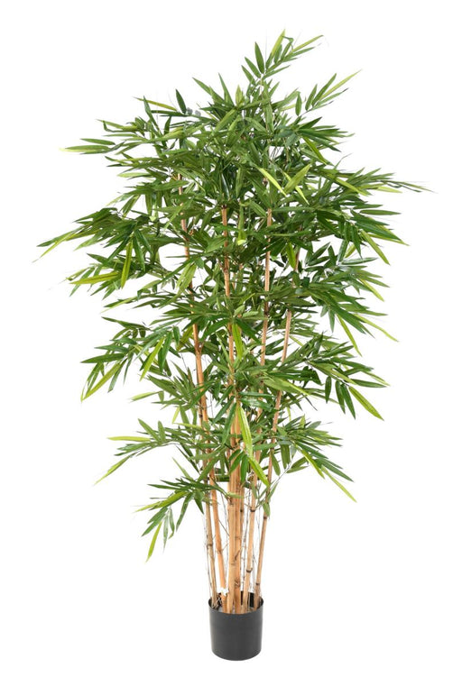 Bambù Artificiale Naturale H.210Cm Per Decorazione Interni